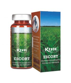 Kish-Escort