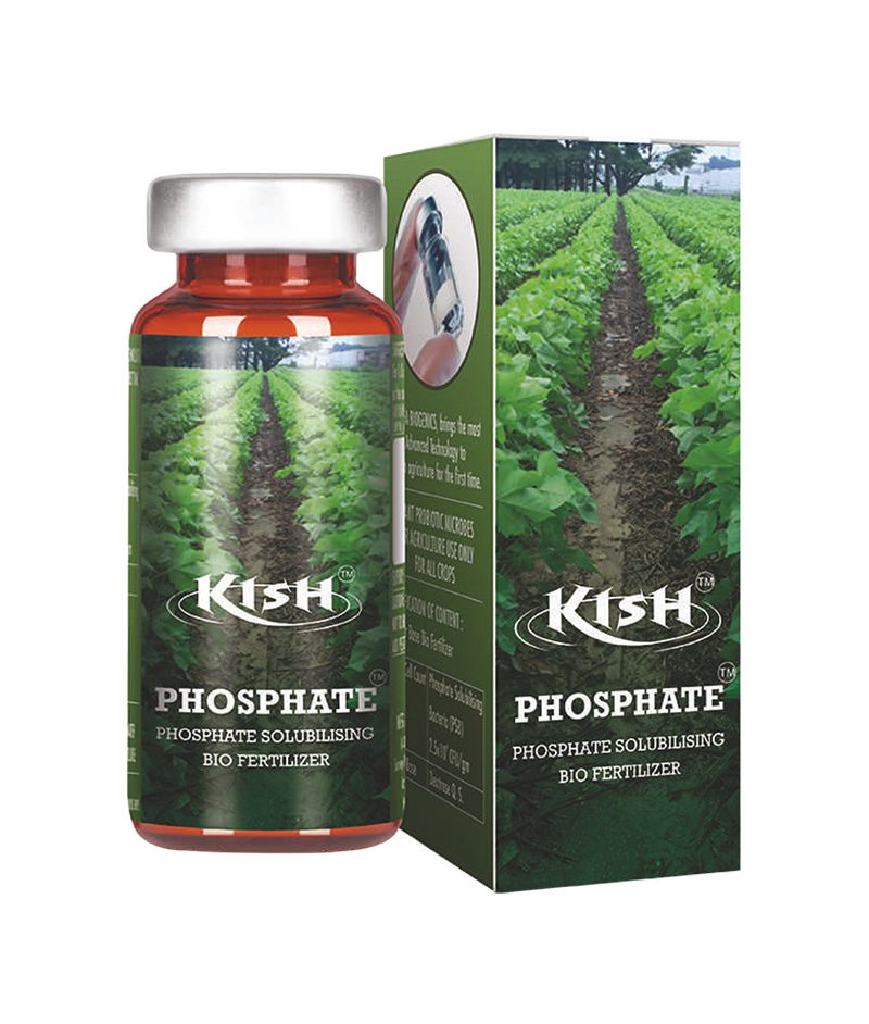 Kish-Phosphate