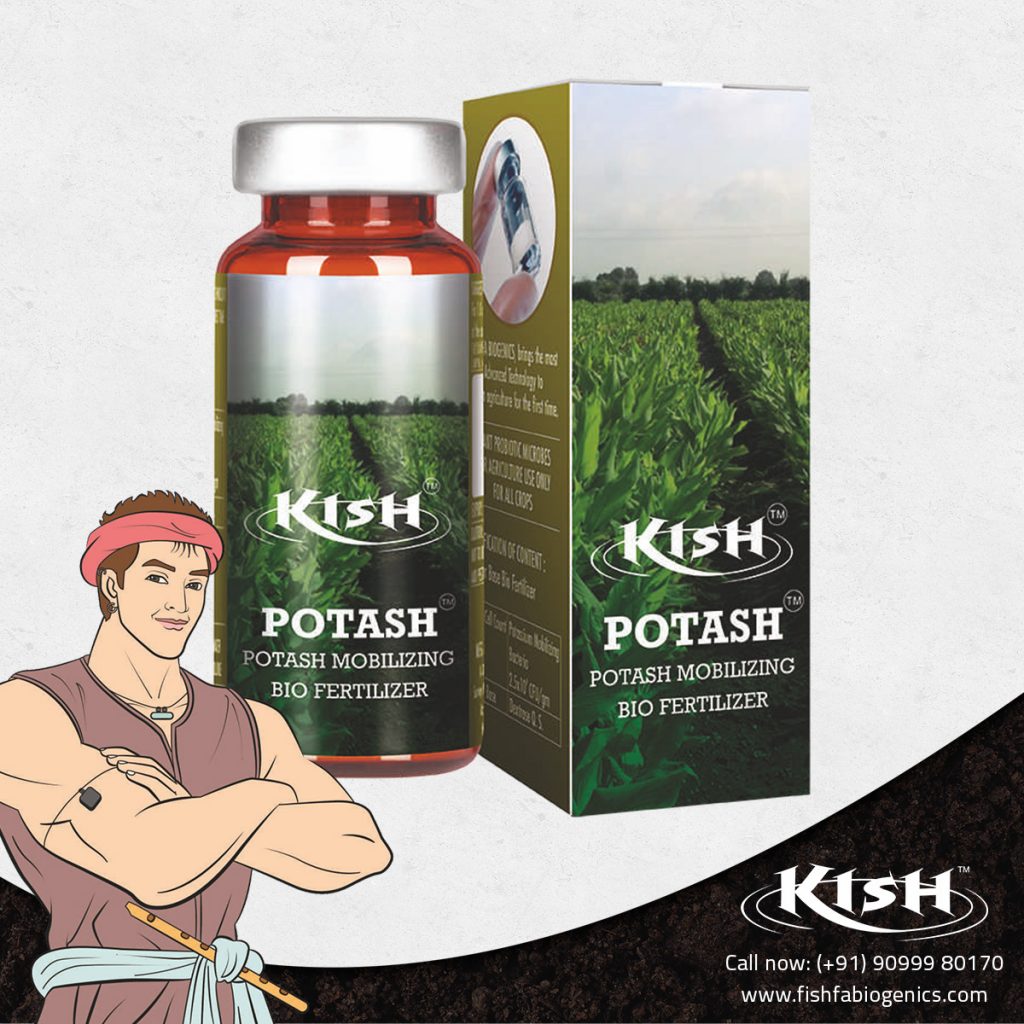 Kish-Potash