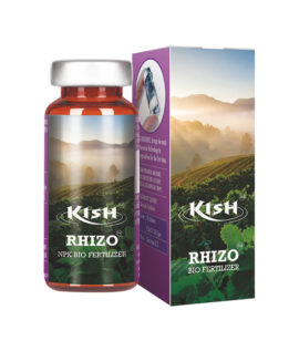 Kish-Rhizo