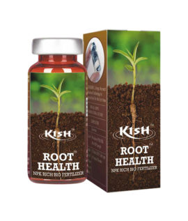 Kish-Root-Health