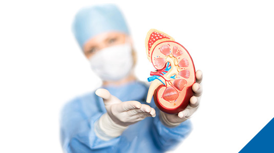 Organ-Transplant-Protection