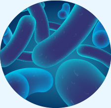 Fishfa Biogenics Probiotics