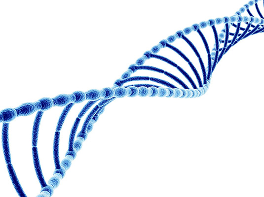 FISHFA BIOGENICS
