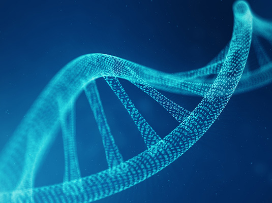 FISHFA BIOGENICS