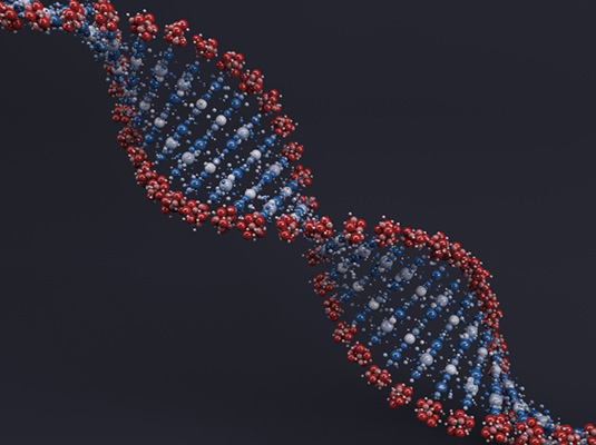 FISHFA BIOGENICS