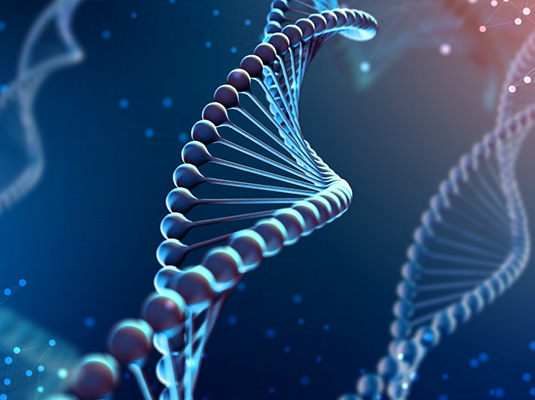FISHFA BIOGENICS