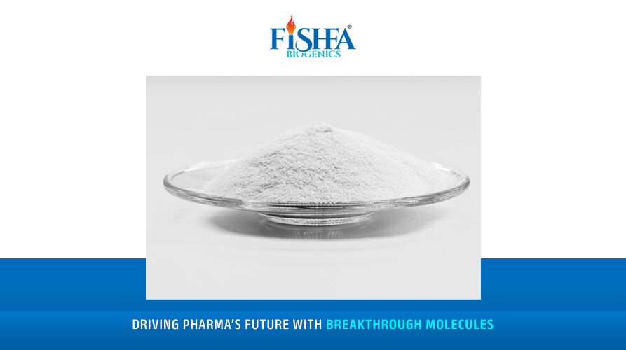 api manufacturers in gujarat